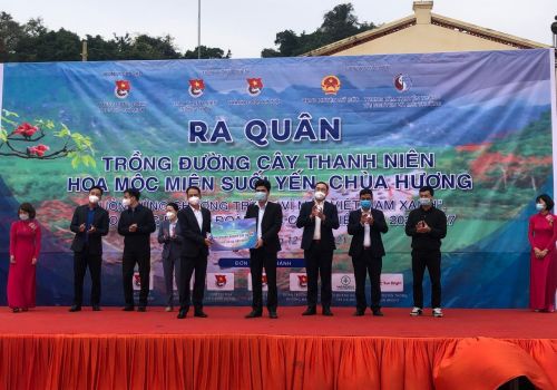 Dự án trồng cây hoa mộc miên trong quần thể di tích thắng cảnh Hương Sơn